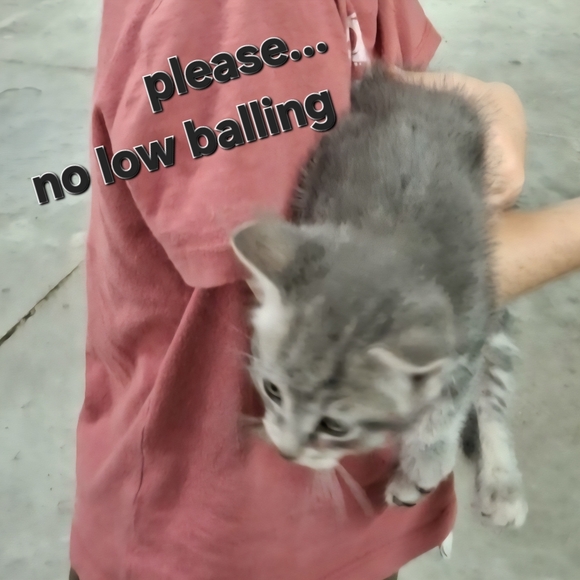 VTG Lot of 7 Kid's Toys Restaurant Cracker Jack Gum Ball Machine Japan - Picture 2 of 15